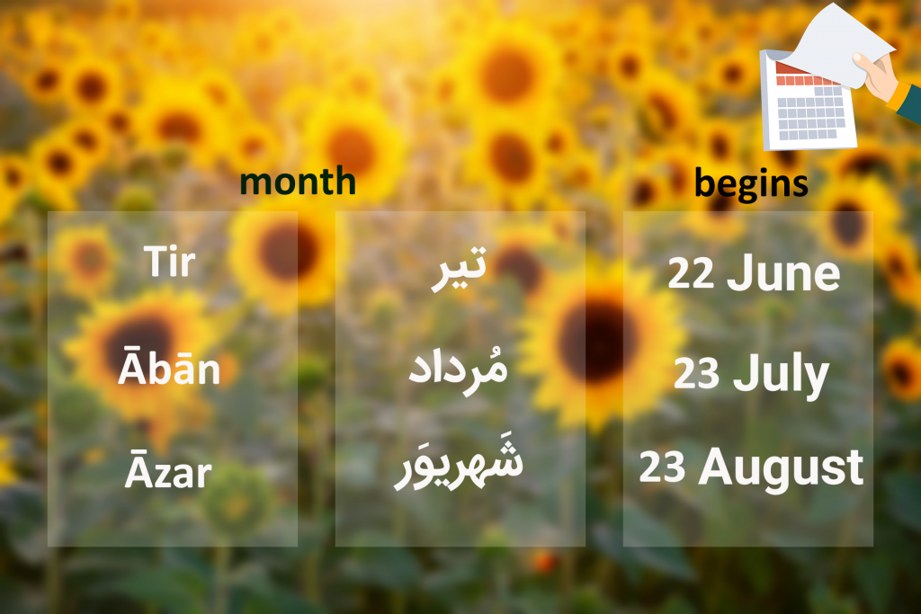 Summer Calendar
